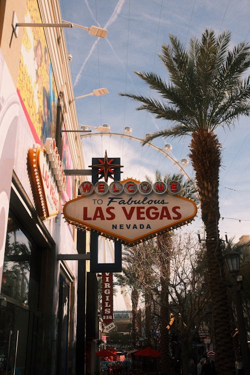 Casino-175.jpeg