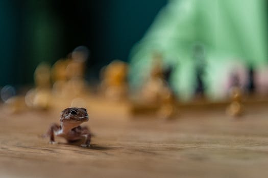 Vastaava Opas Challenge Pokerstars -pelaamiseen Ja Sen Eri Muotoihin