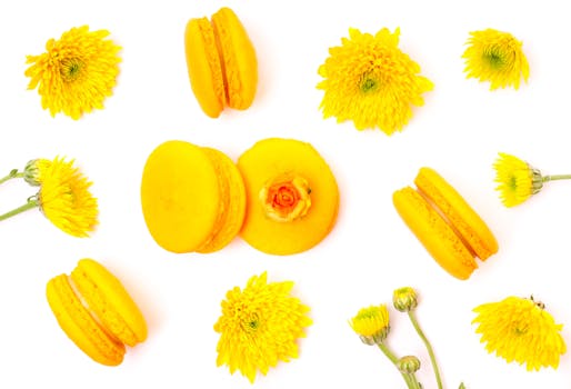 Kaikki Suomenkieliset Nettikasinot: Oppaikkoja Ja Vinkkejä