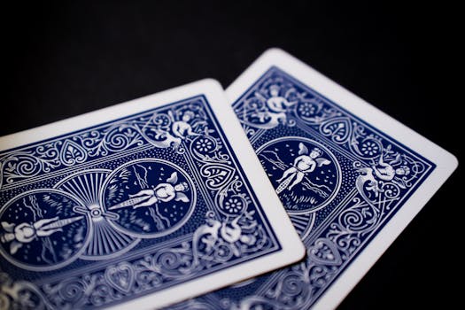 Hauskempi Nettikasinot: Parhaat Kasinot Ja Pelivalikoima Suomessa