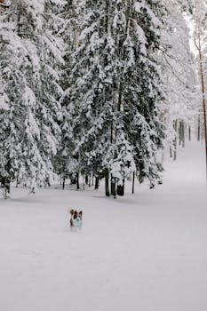 Kaikki Suomenkieliset Nettikasinot: Oppaikkoja Ja Vinkkejä