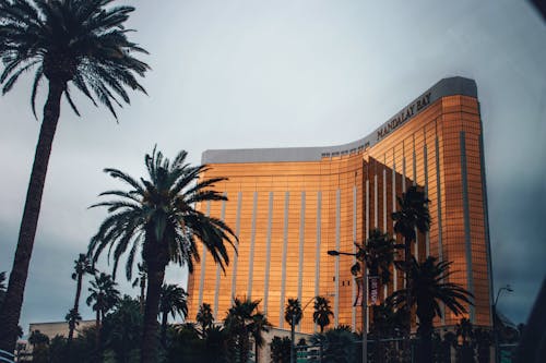 Casino-560.jpeg