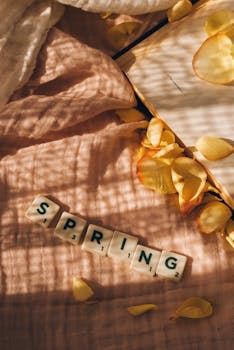 Rio Kasino: Kasino Ja Pelikokemukset Suomesta