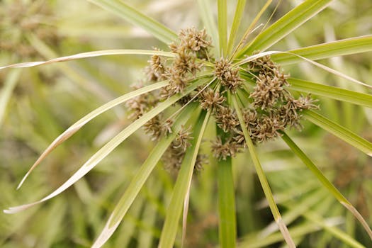 Kasino Bonukset Suomessa: Parhaat Tarjoukset Ja Niiden Toiminta