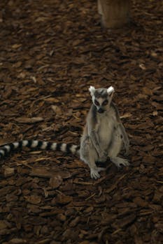 Comparison Of Nordea Prime Korko And Euribor: Which Interest Rate Is Better?