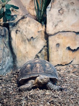 Rahoituksella Ostetun Auton Myyminen: Ohjeet Ja Prosessi